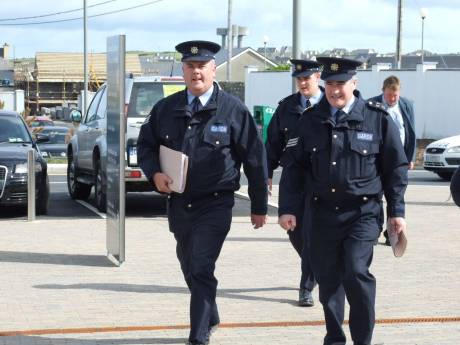 Ask the experts about Swine Flu- should the Garda have a role ?