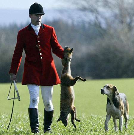 Foxhunting and farming don't mix...