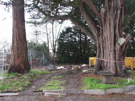 A shot indicating digger tracks possibly damaging tree roots, damage from which they can of course recover