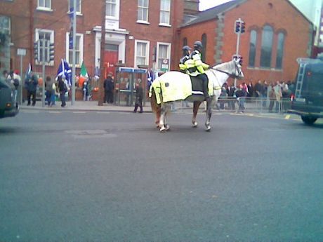 A horsey guard for the horsey set !