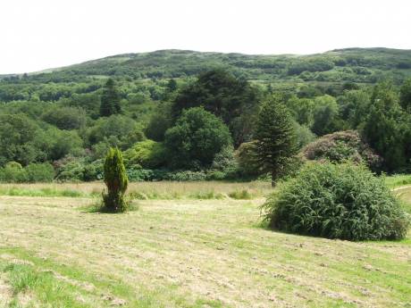  Drombroe, Bantry, Co Cork.