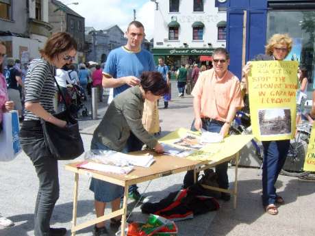 People queue up to sign the petition