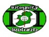 integrity_ireland_logo.jpg