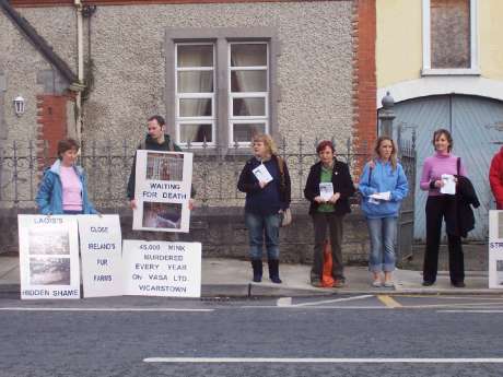 Activists in Stradbally, Co. Laois