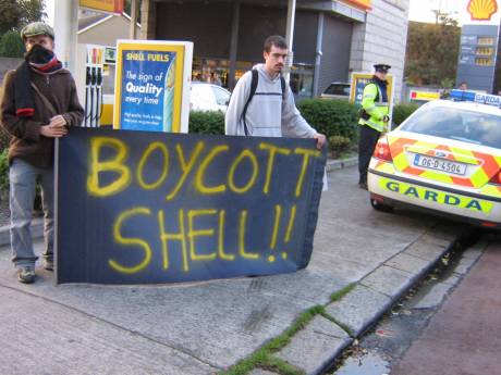 shell_015.jpg