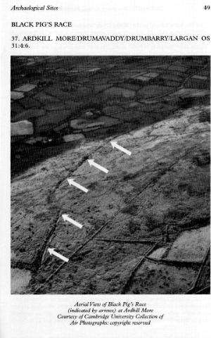 Cambridge University Air Photo of Dyke,  Ardkill More, Before Quarry.